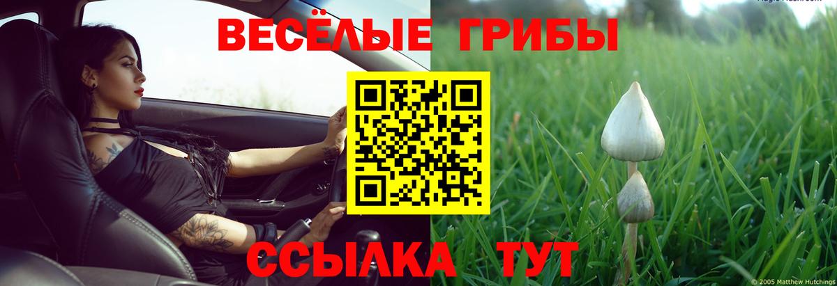 Саяногорск  Галлюциногенные грибы прущие грибы  Вход с VPN 